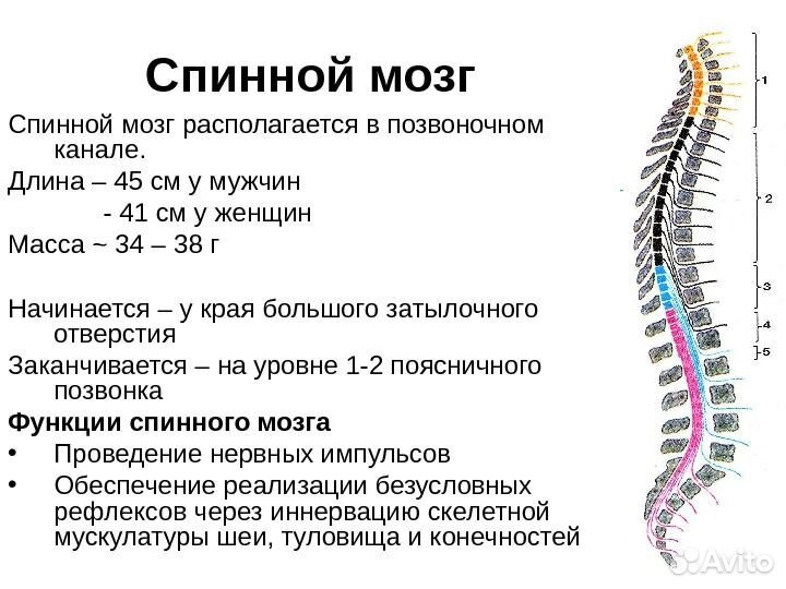 Игровой пк полный комплект