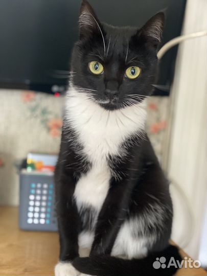 В ответственные руки