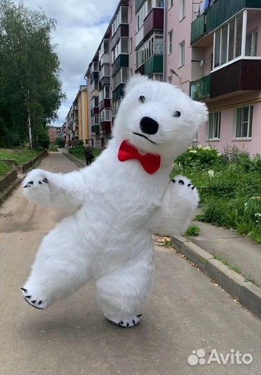 Экспресс поздравление