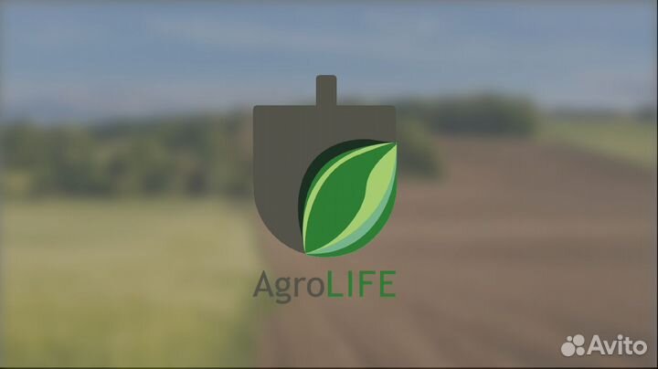 Графический дизайнер, логотипы, инфографика