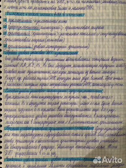 Написание конспектов
