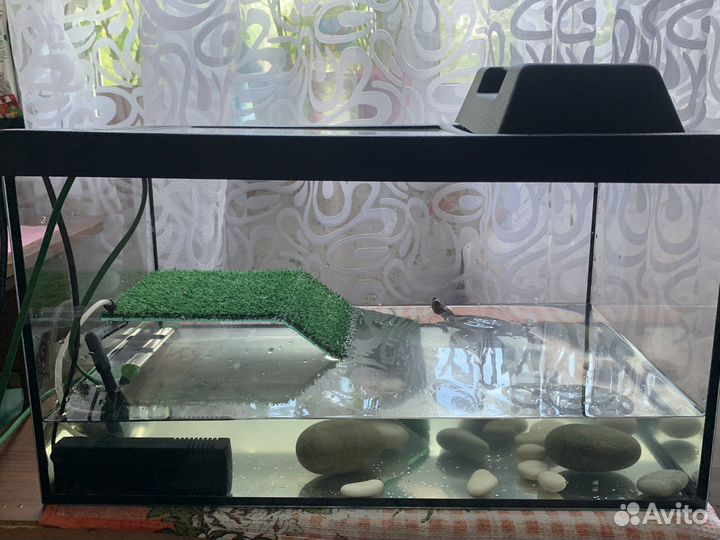 Террариум 50 л с красноухими черепахами