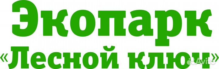 Администратор гостиницы (дома отдыха)