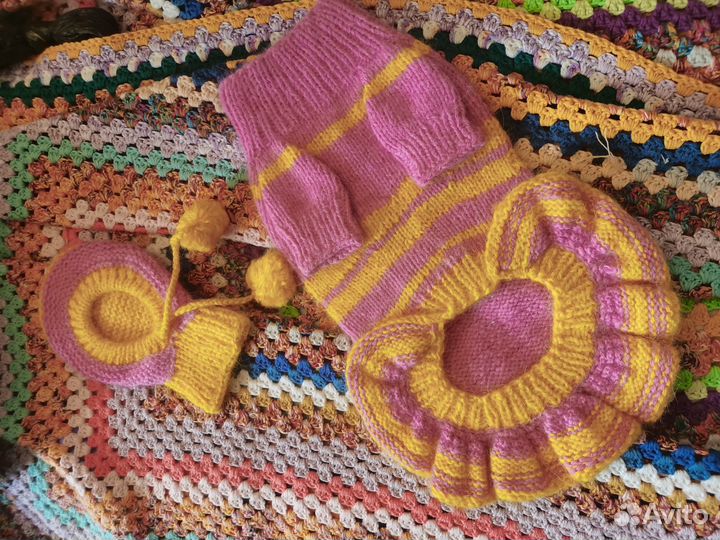 Одежда для собак мелких пород