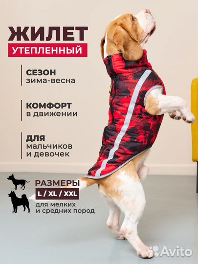 Жилетка для средних собак