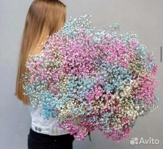 Разноцветная Гипсофила. Букеты на Любой Праздник