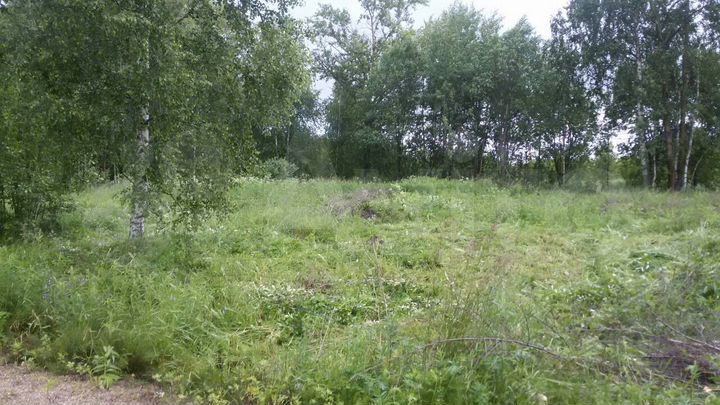 Участок 27 сот. (СНТ, ДНП)