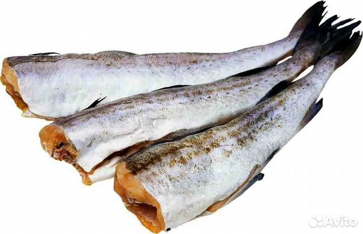 Минтай с/м тушки