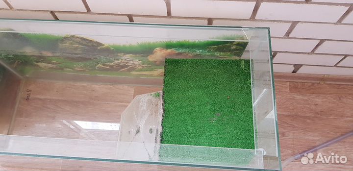 Террариум для красноухой черепахи