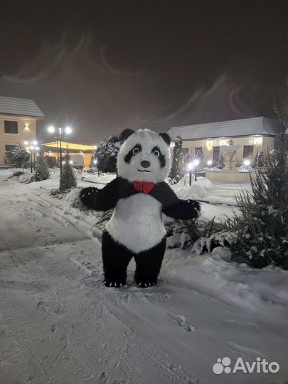 Белый мишка