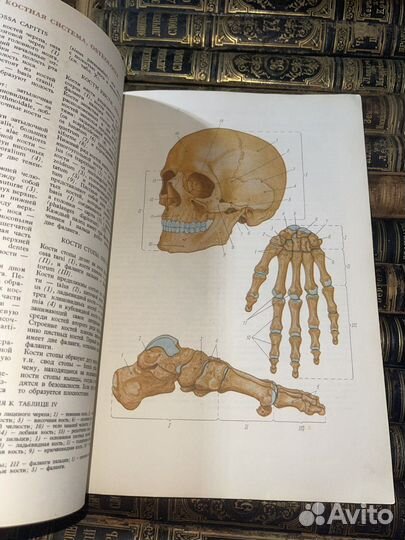 1962 Малый Анатомический Атлас (из Польши)