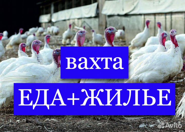 Фасовщик Вахта Проживание/Питание Без опыта М/Ж