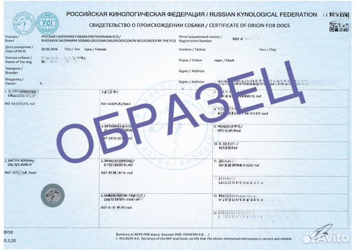 Оформление документов РКФ