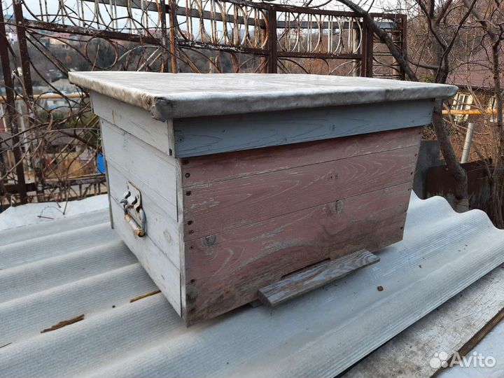 Улей для пчел