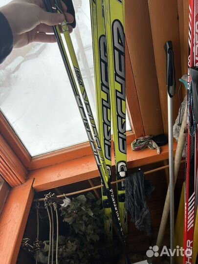 Беговые лыжи