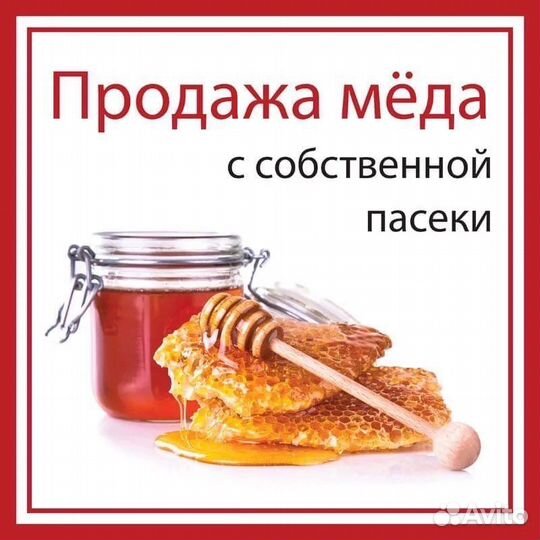 Мед таежный сибирский