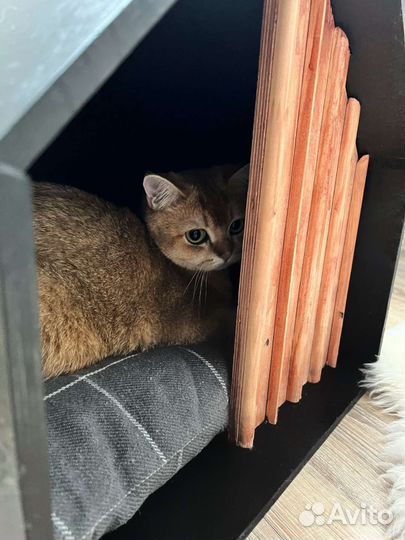 Интерьерный домик для кота или маленькой собаки