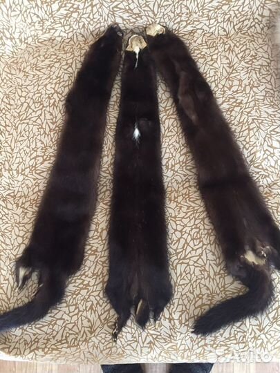 Шкурки норки