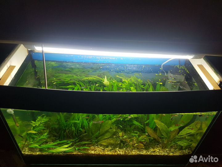 Аквариум