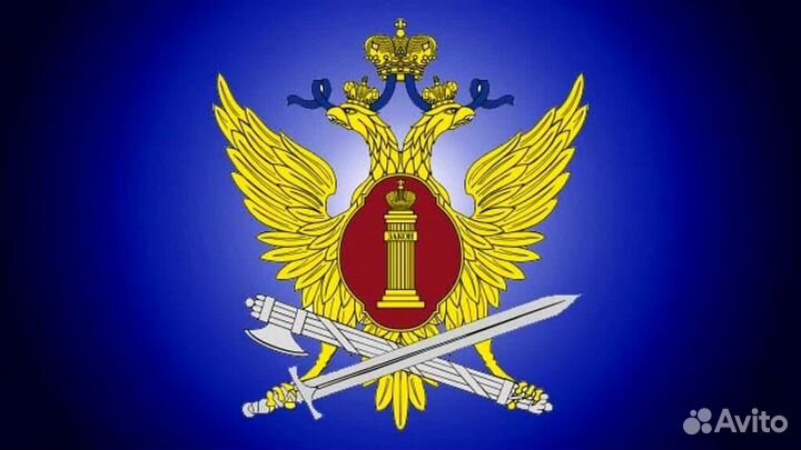 Младший инспектор