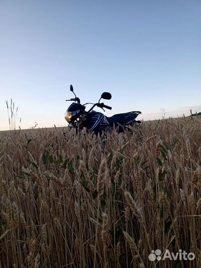 Мопед альфа