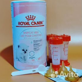 Royal sales canin milk