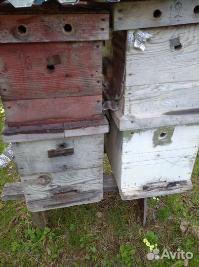 Улики для пчел