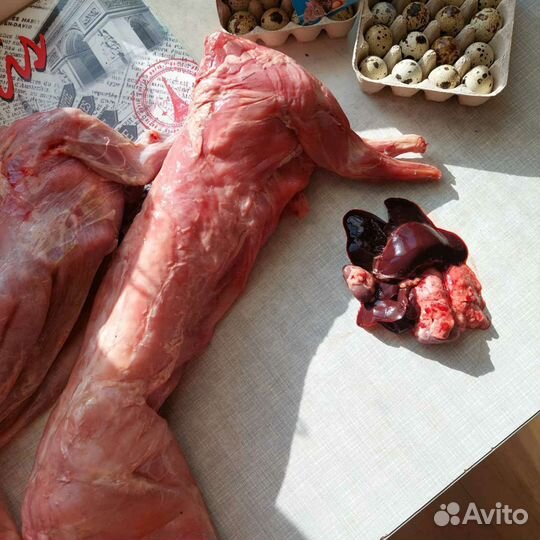 Кролики на мясо