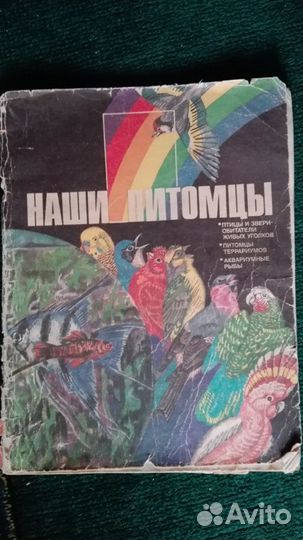 Наши питомцы