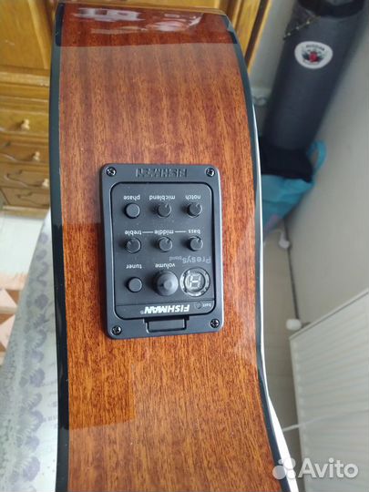 Электроакустическая Sigma