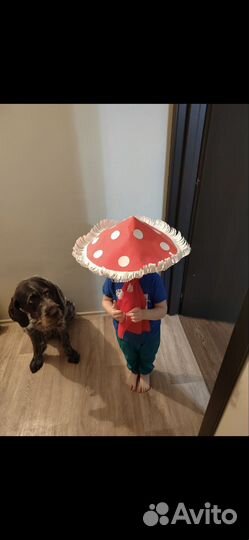 Шляпа мухомора