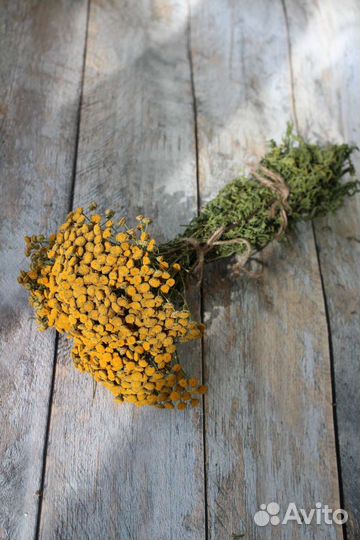 Пижма. Травы для бани