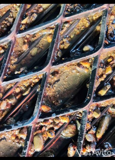 Трафарет старательский пвл просечка