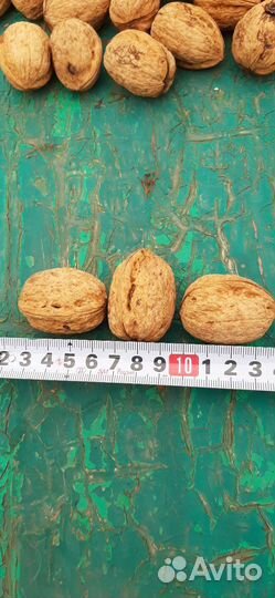 Грецкий орех