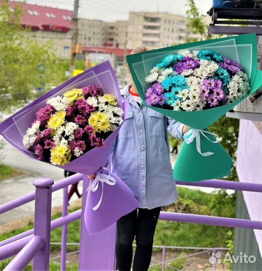 Цветы, Хризантемы, Букет Гигант №9