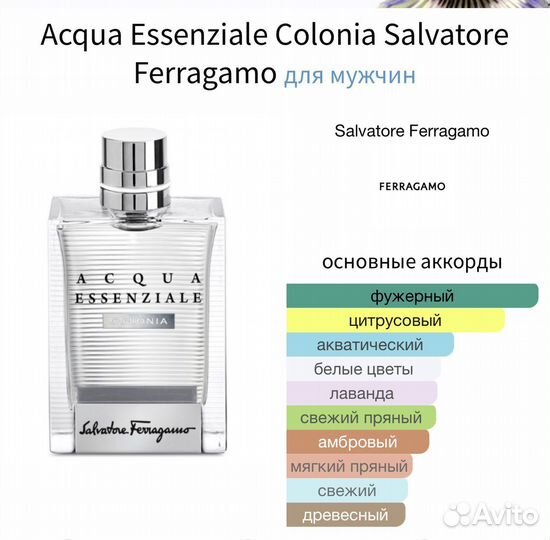 Мужская туалетная вода S. ferragamo acqua colonia