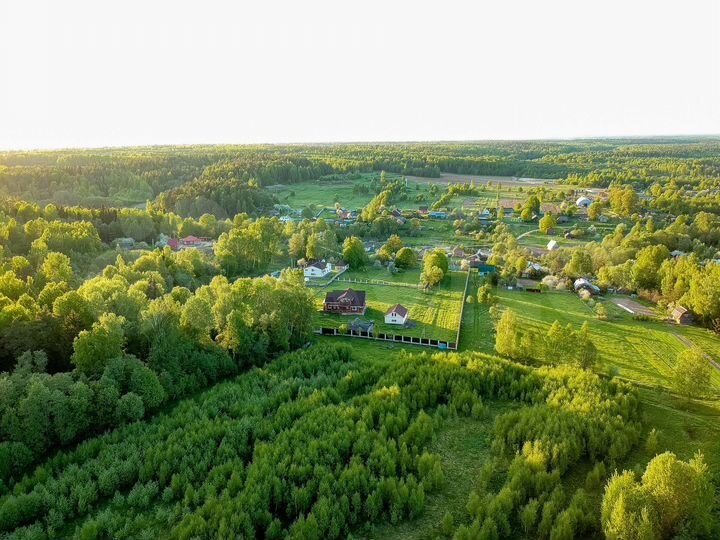 Участок 25 га (ИЖС)