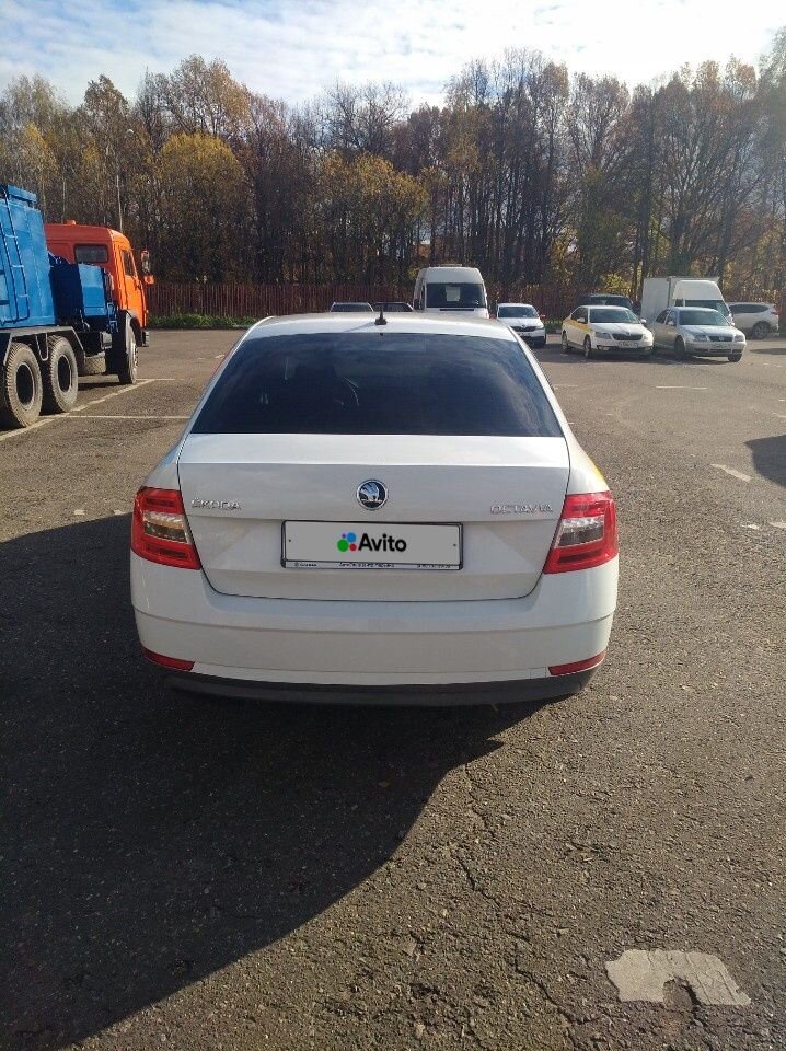Skoda Octavia: фото владельца