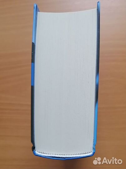 Хеску. Кровь дома Базаард. Дина Шинигамова