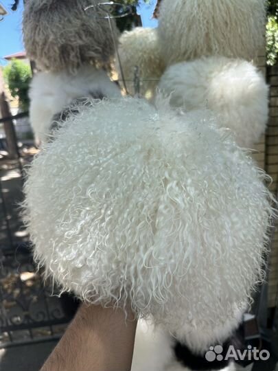 Папаха из козленка
