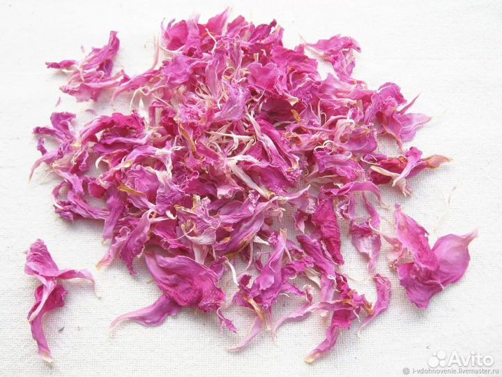 Лепестки пиона