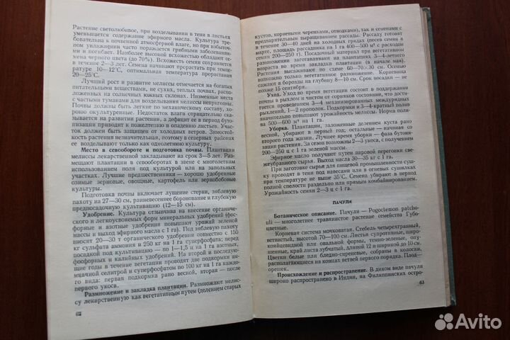 Эфирномасличные и лекарственные растения