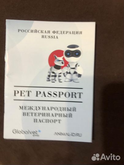 Русско европейская лайка