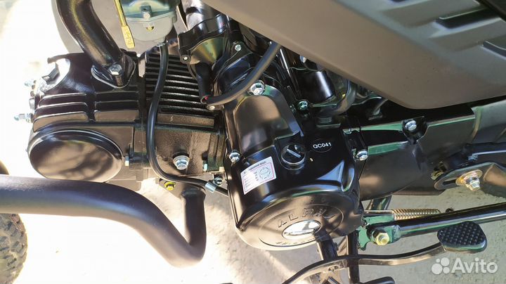 Новая Альфа V