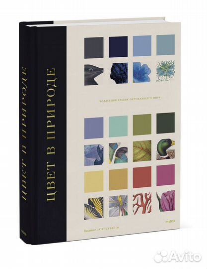 Цвет в природе. Коллекция красок окружающег