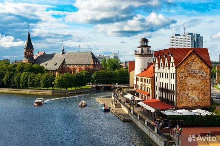 Экскурсия на куршскую косу