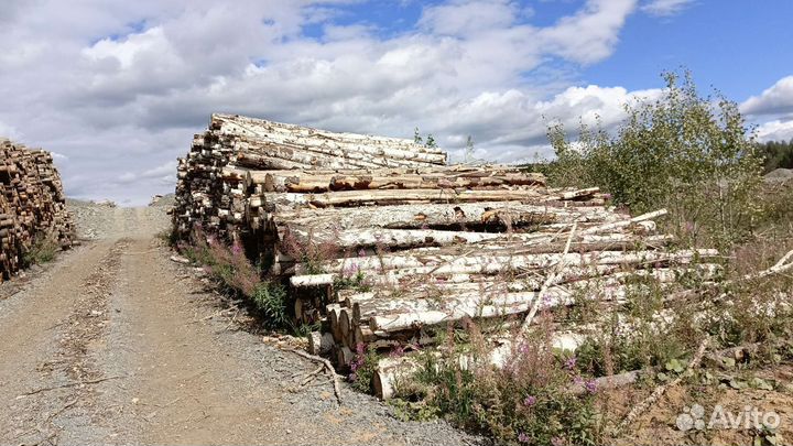 Дрова березовые сухие