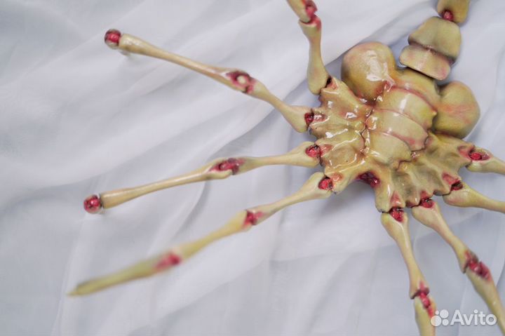 Фейсхаггер/Лицехват из 