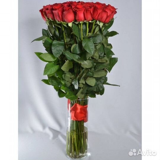 Розы 100см