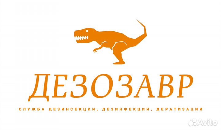 Дезинфекция